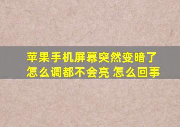 苹果手机屏幕突然变暗了 怎么调都不会亮 怎么回事